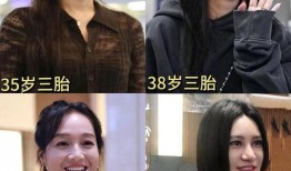 娱乐圈吃瓜辩手小说