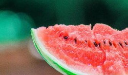 风姿卓越娱乐吃瓜,揭秘吃瓜背后的精彩故事