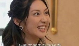 国产在线对白,打造沉浸式视听体验的革新之作