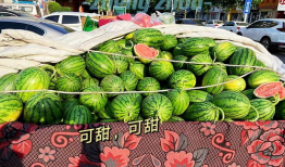 吃瓜娱乐郑州,揭秘网红美食与娱乐新风尚