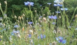 丁香六月激情国产